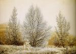 风景画大师 Caspar David Friedrich 1826_104
